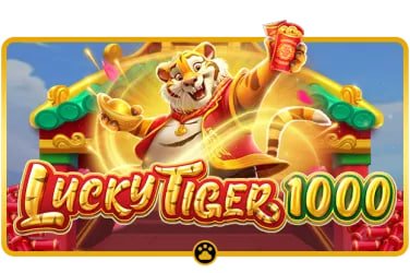 3z casino